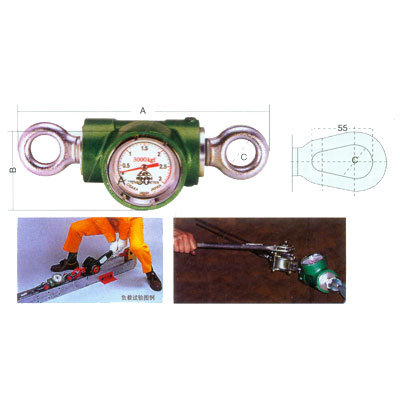 拉力表（日本）